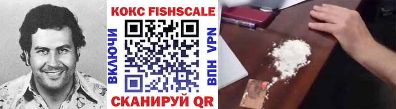 купить  цена  Ядрин  Кокаин FishScale 