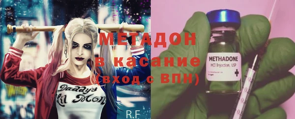 прущие грибы Мегион