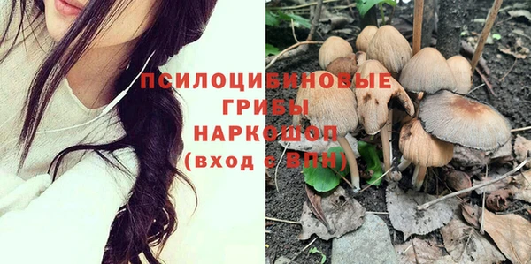 крисы Абдулино