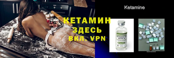 прущие грибы Мегион