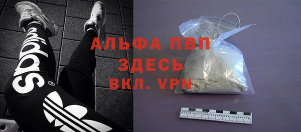 прущие грибы Мегион