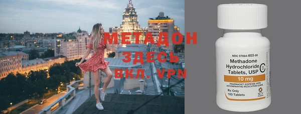 прущие грибы Мегион