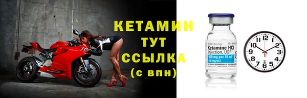 прущие грибы Мегион