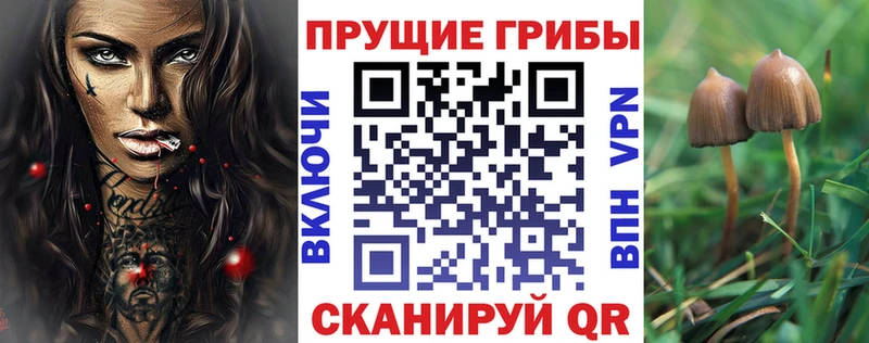 KRAKEN ССЫЛКА  Ядрин  Галлюциногенные грибы ЛСД  закладки 